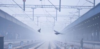 दिल्ली व आसपास के इलाको में दिखा कोहरे का कहर. रेल यातायात बुरी तरह से प्रभावित. fog havoc in Delhi and surrounding areas