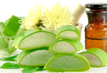 एलोविरा का इस्तेमाल-बीमारियों को करें दूर