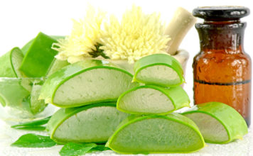 एलोविरा का इस्तेमाल-बीमारियों को करें दूर