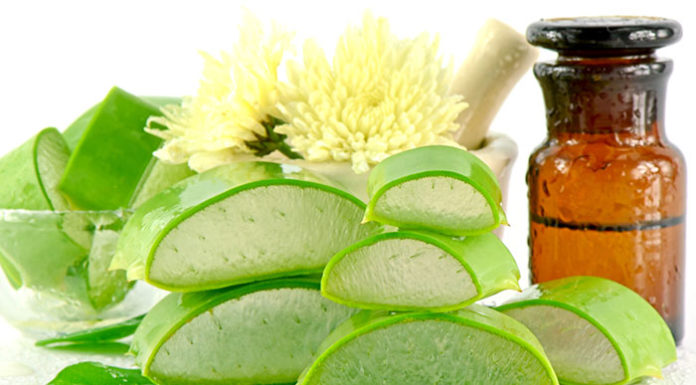 एलोविरा का इस्तेमाल-बीमारियों को करें दूर