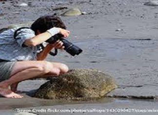 इन ऑफ बीट करियर को अपना कर भी बन सकते है सफल offbeat careers can make u successful