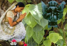 भाग्य-अच्छा-चाहिए-तो-पीपल