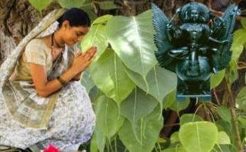 भाग्य अच्छा चाहिए तो पीपल से करे वास्तु टिप्स भाग्य-अच्छा-चाहिए-तो-पीपल