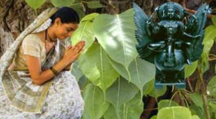 भाग्य अच्छा चाहिए तो पीपल से करे वास्तु टिप्स भाग्य-अच्छा-चाहिए-तो-पीपल