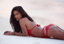 सामने आया पूनम पांडे का नया फोटोशूट स्विमिंग सूट में किए हॉट पोज Poonam Pandey new photoshoot in swimsuit Hot Pose