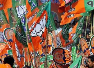 आधे से अधिक बाहरी नेता , फिर भी बीजेपी ने बजाया जीत का डंका even after half leaders from outside still bjp won