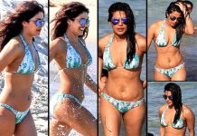 मियामी बीच पर बिकिनी में नज़र आईं प्रियंका चोपड़ा , देखें हॉट तस्वीरें Priyanka Chopra, seen on Miami Beach in bikni