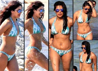 मियामी बीच पर बिकिनी में नज़र आईं प्रियंका चोपड़ा , देखें हॉट तस्वीरें Priyanka Chopra, seen on Miami Beach in bikni