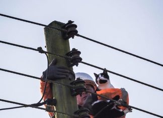 उत्तर प्रदेश में ऐसे होगा अब हर घर में बिजली का कनेक्शन. in up there will be electricity connections in every house