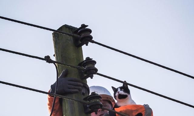 उत्तर प्रदेश में ऐसे होगा अब हर घर में बिजली का कनेक्शन. in up there will be electricity connections in every house