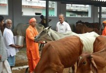 उत्तर प्रदेश की योगी सरकार को हाईकोर्ट ने दिया झटका,कहा- आप लोगों को मांसाहार से नहीं रोक सकते High Court gave a blow to Yogi Sarkar, said - you can not stop people from eating meat