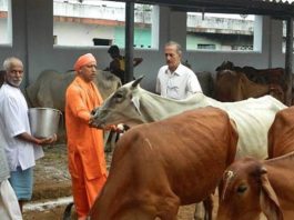 High Court gave a blow to Yogi Sarkar, said - you can not stop people from eating meat