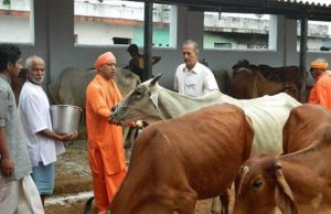 High Court gave a blow to Yogi Sarkar, said - you can not stop people from eating meat