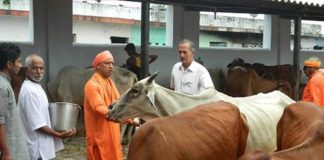 High Court gave a blow to Yogi Sarkar, said - you can not stop people from eating meat