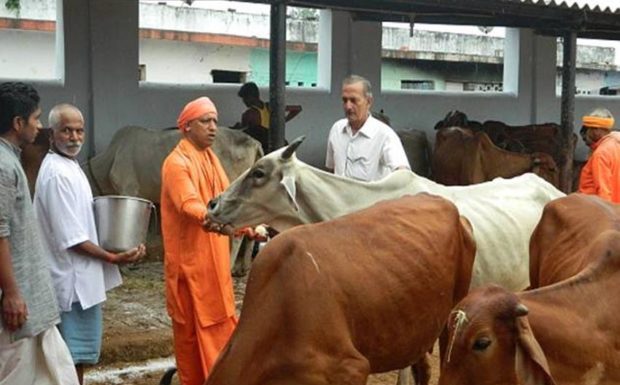 उत्तर प्रदेश की योगी सरकार को हाईकोर्ट ने दिया झटका,कहा- आप लोगों को मांसाहार से नहीं रोक सकते High Court gave a blow to Yogi Sarkar, said - you can not stop people from eating meat