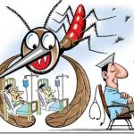 डेंगू के मच्छर से बचने के लिए अपने घर में रखें सिर्फ यह दो चीज़ To avoid dengue mosquito keep your home clean