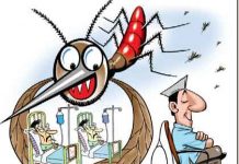 डेंगू के मच्छर से बचने के लिए अपने घर में रखें सिर्फ यह दो चीज़ To avoid dengue mosquito keep your home clean