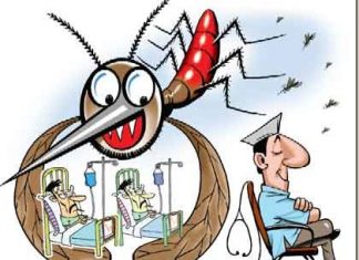 डेंगू के मच्छर से बचने के लिए अपने घर में रखें सिर्फ यह दो चीज़ To avoid dengue mosquito keep your home clean