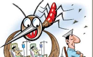 डेंगू के मच्छर से बचने के लिए अपने घर में रखें सिर्फ यह दो चीज़ To avoid dengue mosquito keep your home clean