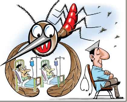 To avoid dengue mosquito keep your home clean