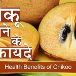 खाना खाने के बाद एक चीकू देगा इतनी ताकत की कर देगे सबको पस्त benefits of eating chiku after dinner