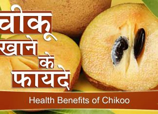 खाना खाने के बाद एक चीकू देगा इतनी ताकत की कर देगे सबको पस्त benefits of eating chiku after dinner