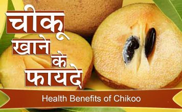 खाना खाने के बाद एक चीकू देगा इतनी ताकत की कर देगे सबको पस्त benefits of eating chiku after dinner