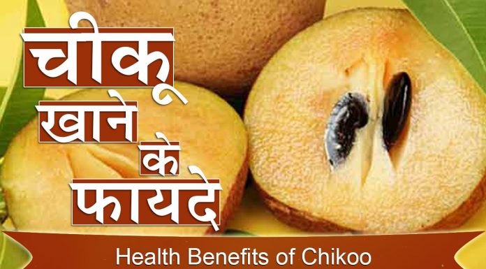 खाना खाने के बाद एक चीकू देगा इतनी ताकत की कर देगे सबको पस्त benefits of eating chiku after dinner