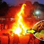 होलिका में जला दे यह चीजें ,उसके साथ ही बस में हो जाएगी आपकी सारी परेशानियां burn these things in holika