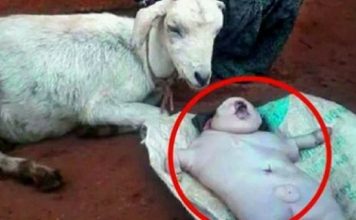 बकरी ने दिया इंसान के बच्चे को जन्म, बच्चे को देख लोगो के उड़ गए होश Goat gave birth to human baby