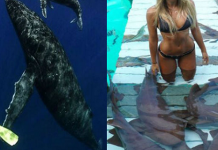 This beautiful girl does not feel threatened by any dangerous creature