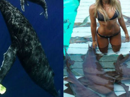 This beautiful girl does not feel threatened by any dangerous creature