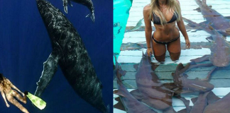 This beautiful girl does not feel threatened by any dangerous creature