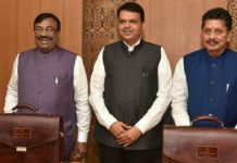 जानिये प्रदर्शन कर रहे किसानो को महाराष्ट्र सरकार के वजट में क्या मिला ? know what farmers get from Government of Maharashtra in budget