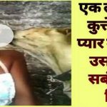 पालतू कुत्ते के साथ लड़की ने बनाया शारीरिक संबंध, आगे हुआ कुछ ऐसा जिसे देख आप भी हैरान रह जायेंगे girl made physical relationship with a pet dog