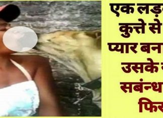 पालतू कुत्ते के साथ लड़की ने बनाया शारीरिक संबंध, आगे हुआ कुछ ऐसा जिसे देख आप भी हैरान रह जायेंगे girl made physical relationship with a pet dog