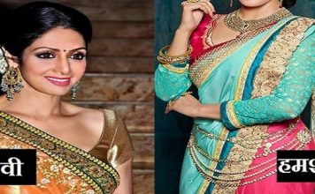 श्रीदेवी की जैसी ही दिखती है यह अभिनेत्री, देखकर आप भी रह जाओगे हैरान.. this actress looks like sridevi