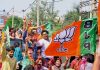 यहाँ चुनावों में मिली बीजेपी को धमाकेदार जीत, हर तरफ कमल ही कमल bjp wins in this eletion