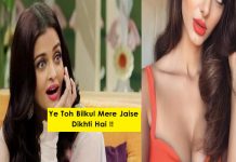 ऐश्वर्या राय की इस हमशकल की तस्वीरें सोशल मीडिया पर हुईं वायरल ! देखकर आप भी जायेंगे चौंक !